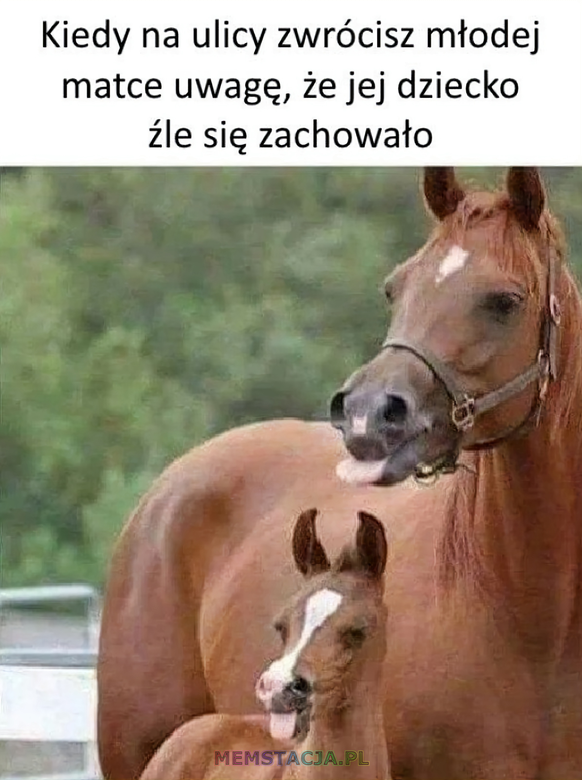 Kiedy zwrócisz uwagę że dziecko źle się zachowuje memstacja pl