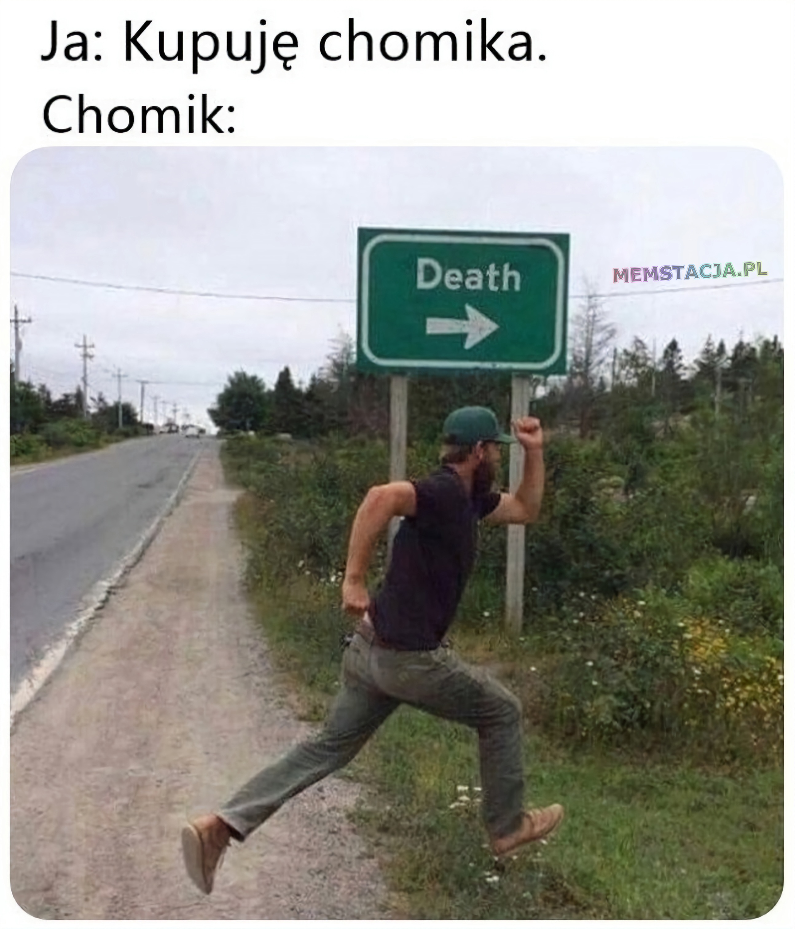 Historia Chomika Memstacja pl