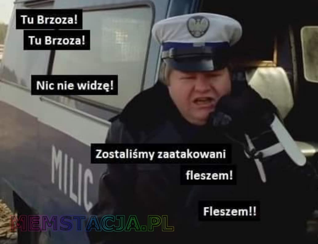 Tu Brzoza!