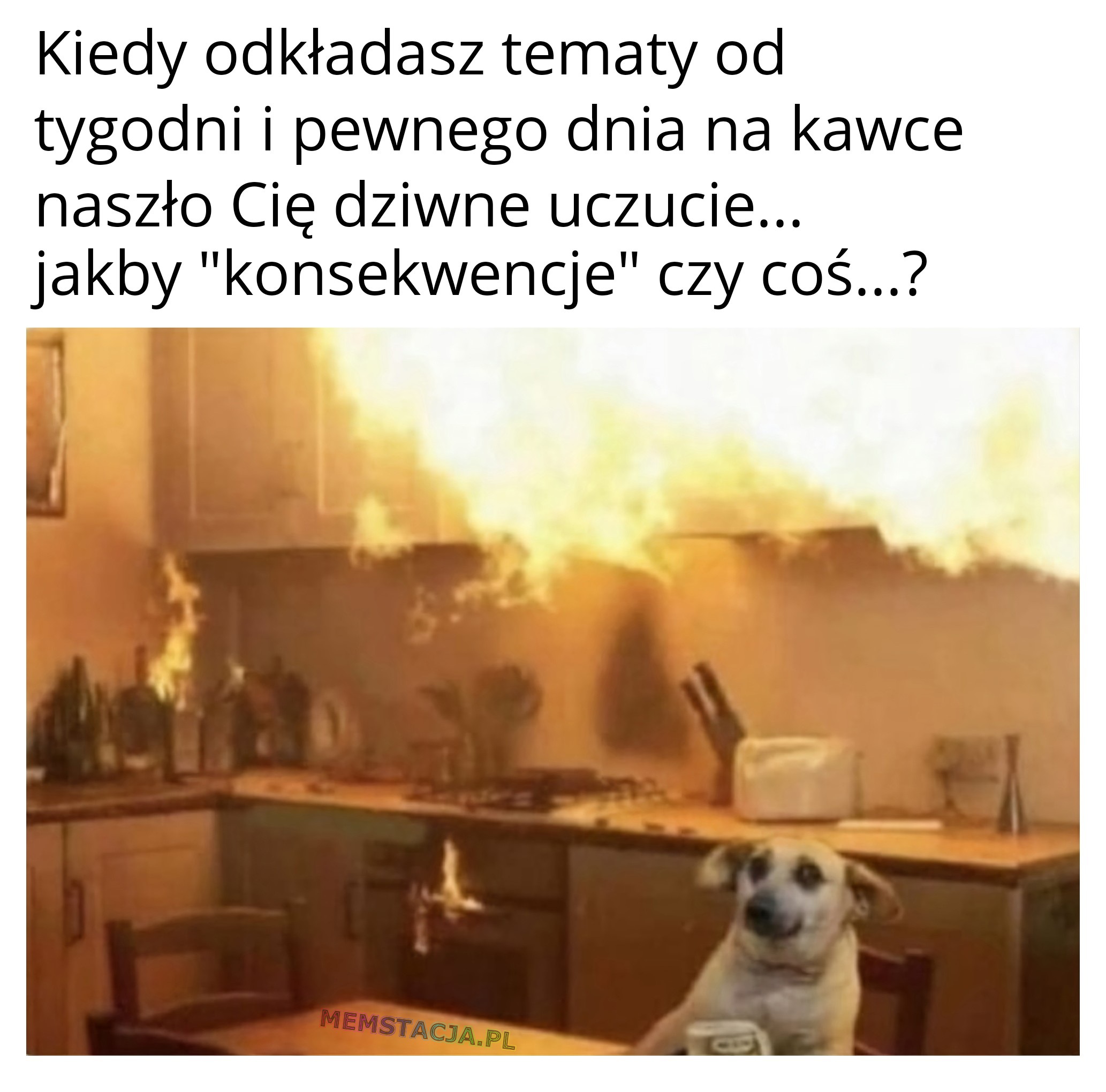 Kiedy odkładasz tematy na później 🤫